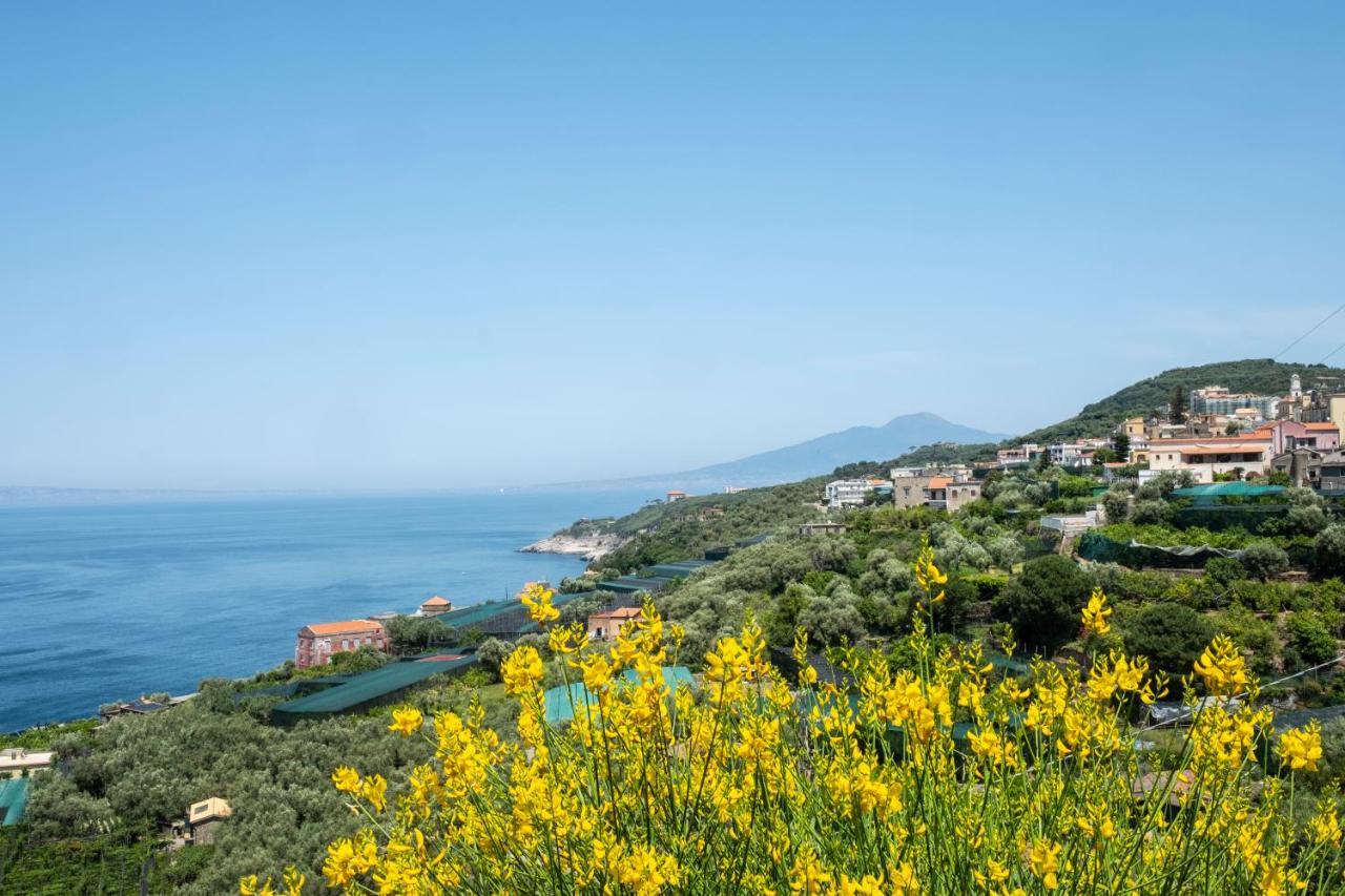 Neva Suites Massa Lubrense Sorrento Coast Exteriör bild